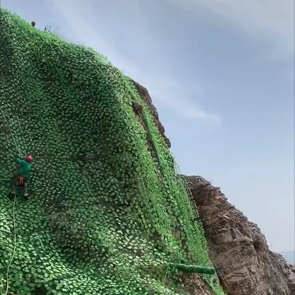 矿山复绿网