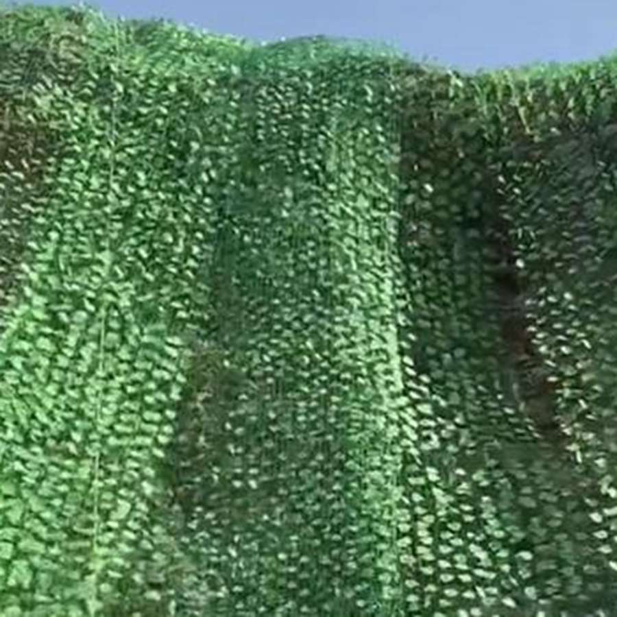 西藏山坡绿叶铁丝网